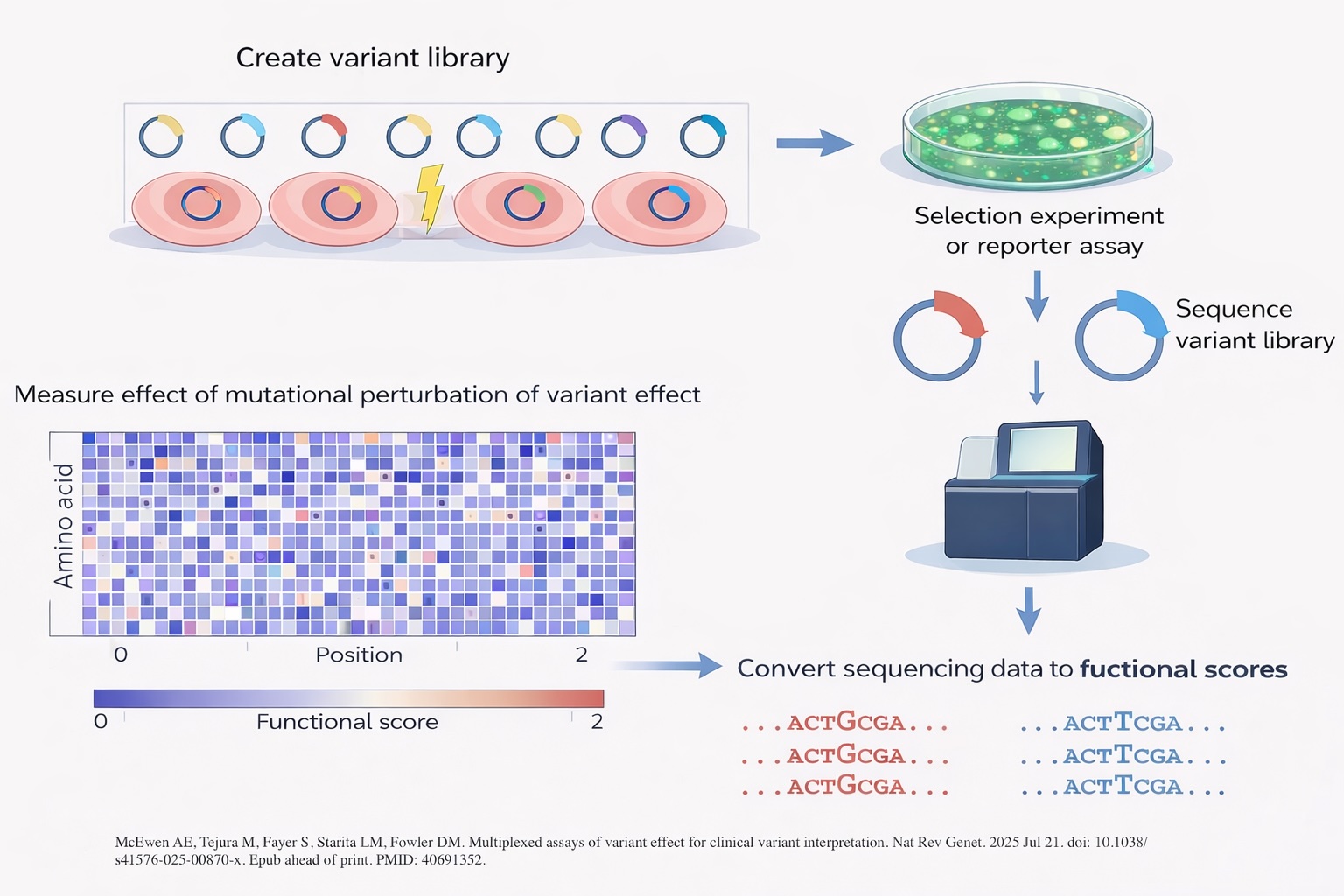 MAVEs for key IEI and cancer genes